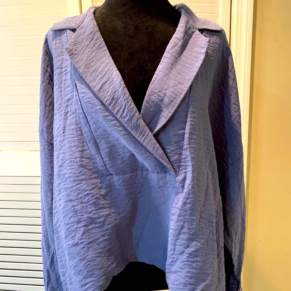 ANTHROPOLOGIE THE DYLAN Long Sleeve Wide Placket Blouse Boho Dusty Blue Sz LARGE